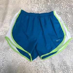 Blue & Green Nike Shorts